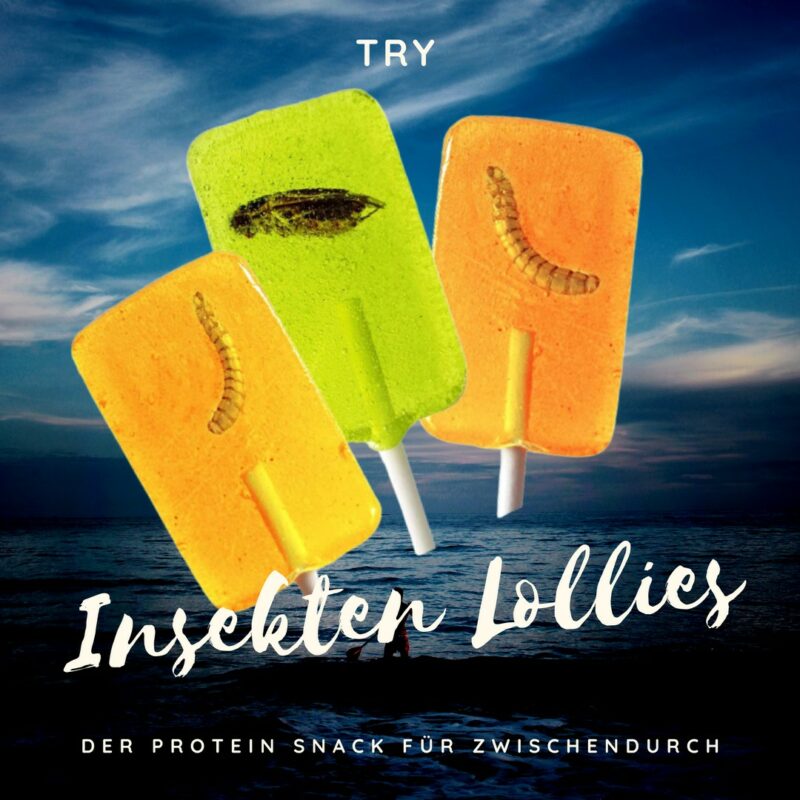 Ein Insektenlolli in verschiedenen Geschmacksrichtungen
