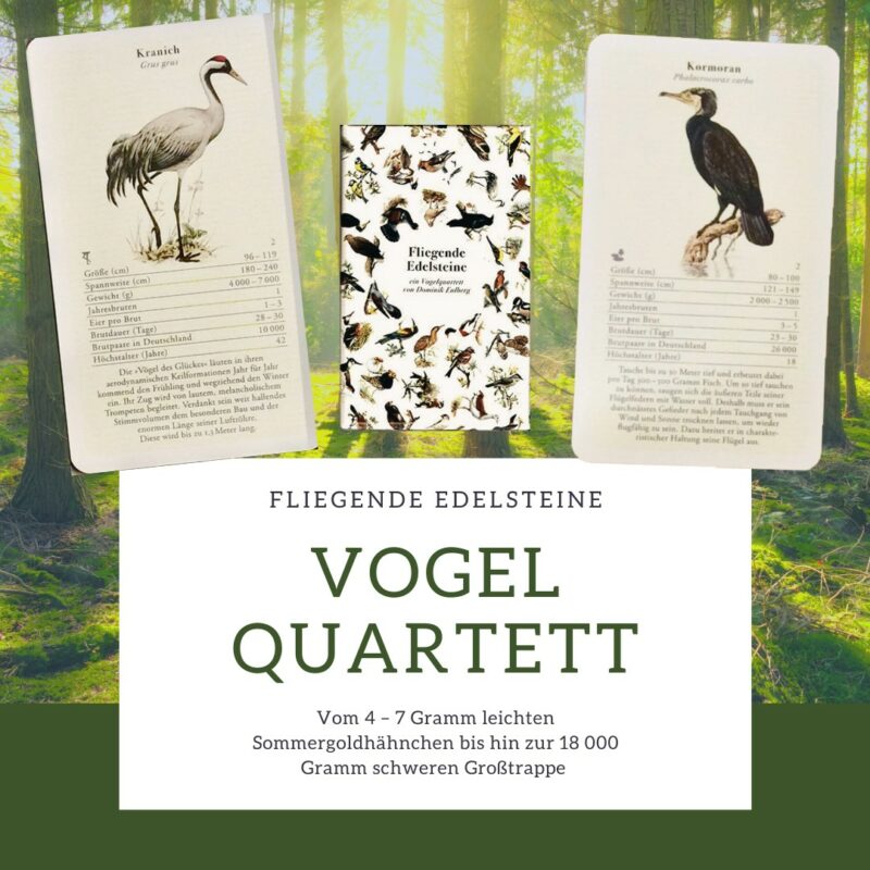 Vogelquartett mit Vogelstimmen - Erleben Sie die Schönheit der Natur in Ihrem eigenen Zuhause