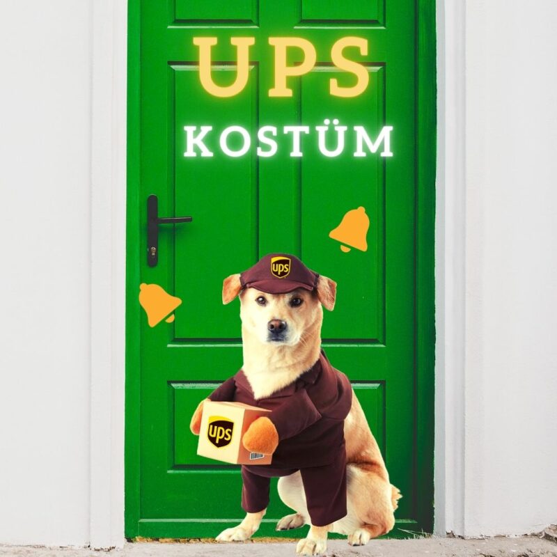 Bild von einem Paketzusteller Hundekostüm als Geschenkidee