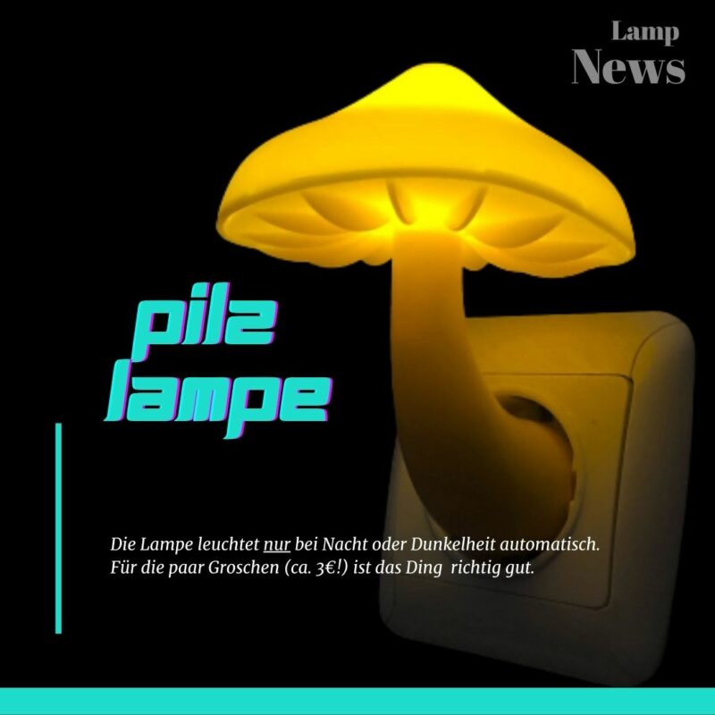 Bild einer Pilzlampe, die automatisch angeht und in die Steckdose kommt