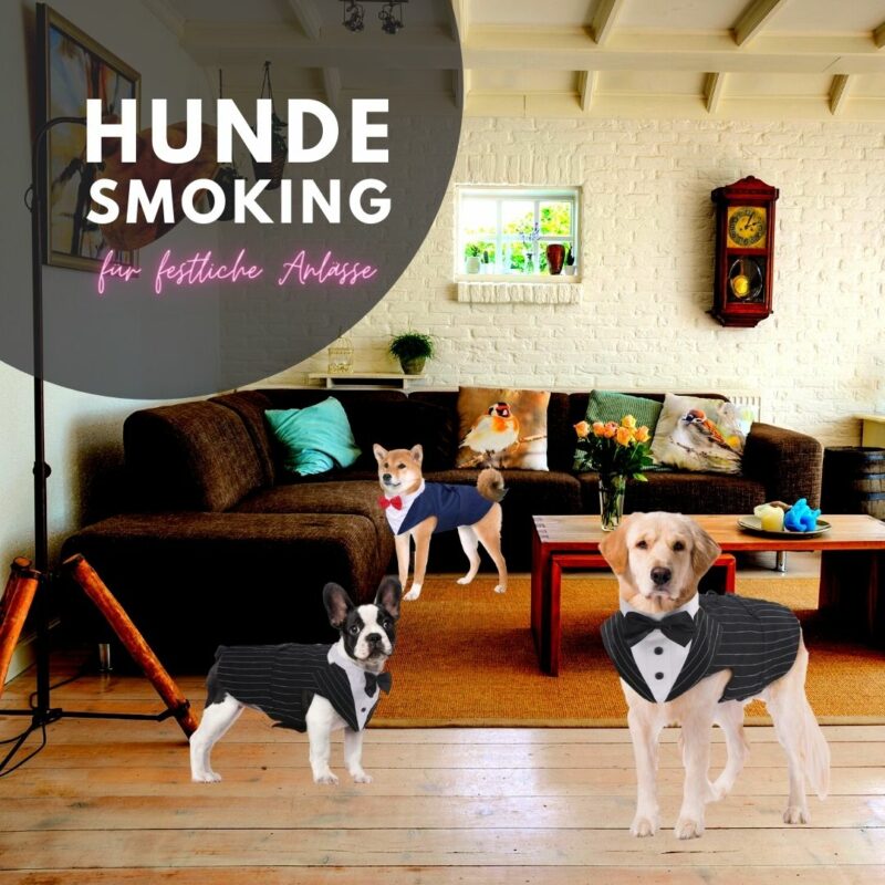 Bild Schwarzer Hunde-Smoking Kostüm für besondere Anlässe