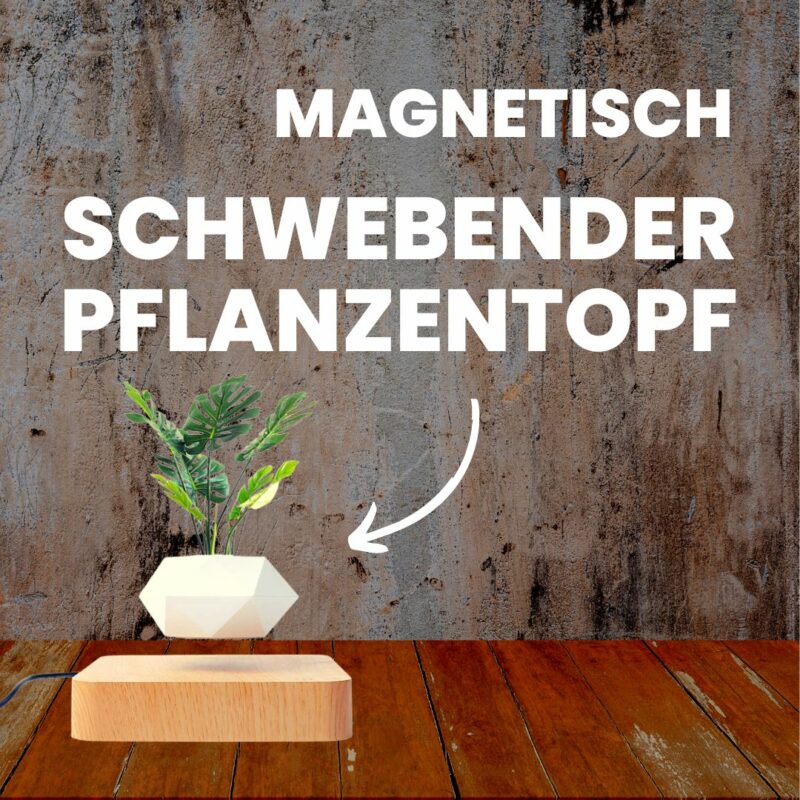 Der schwebende Blumentopf hängt in der Luft und beherbergt grüne Pflanzen.
