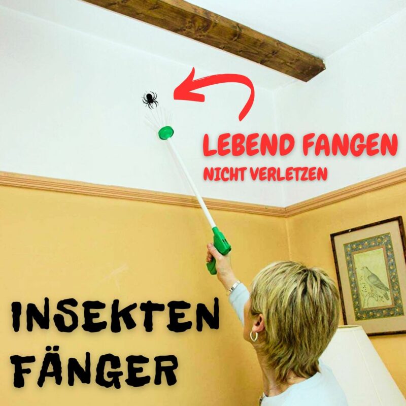 Effektiver Spinnenfänger - Insekten umweltschonend einfangen