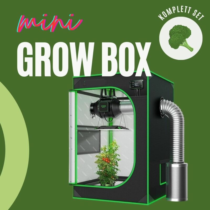 Bild einer Growbox Komplettset in Aktion